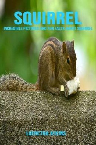 Cover of Squirrel