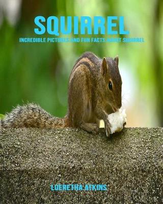 Book cover for Squirrel