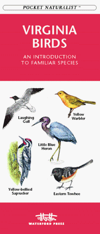 Book cover for Virginia Birds
