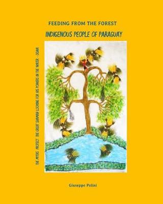 Book cover for Indigenous People of Paraguay