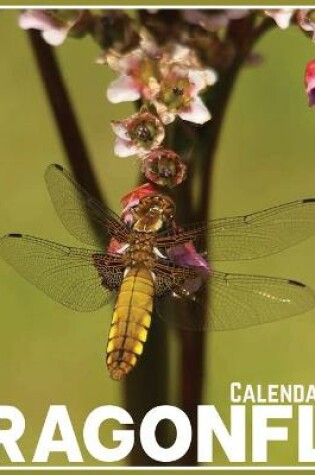 Cover of Dragonfly Calendar 2021