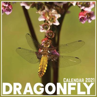 Book cover for Dragonfly Calendar 2021