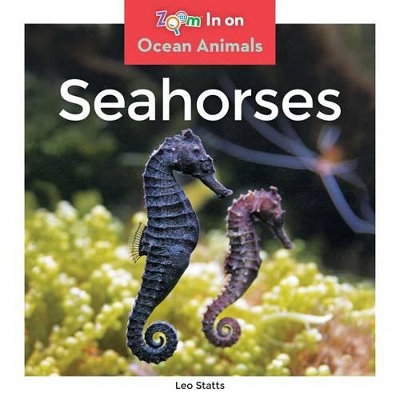 Cover of Seahorses