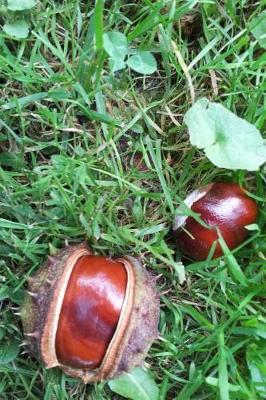 Book cover for Horse Chestnuts in the Grass Autumn Journal