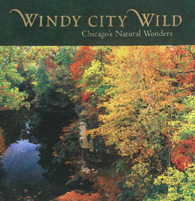 Book cover for Windy City Wild