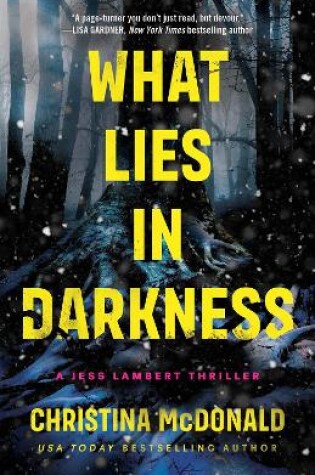 Cover of What Lies in Darkness