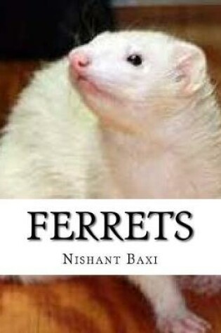 Cover of Ferrets