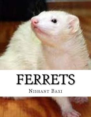 Book cover for Ferrets