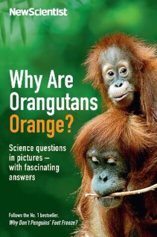 Why are Orangutans Orange?