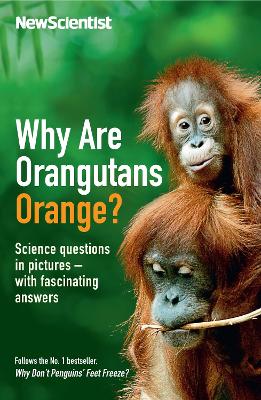 Book cover for Why are Orangutans Orange?