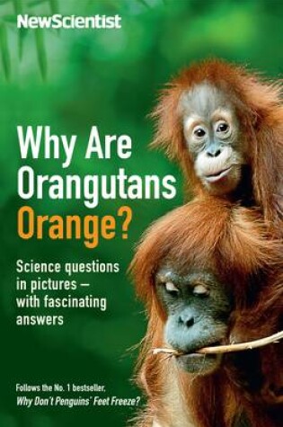 Cover of Why are Orangutans Orange?
