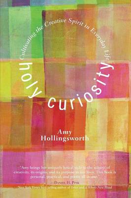 Book cover for Holy Curiosity