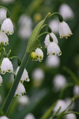 Book cover for Beautiful Japanese White Snowflake In The Dew