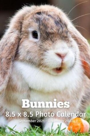 Cover of Bunnies 8.5 X 8.5 Calendar September 2021 -December 2022