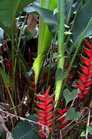 Cover of Red Heliconia in Cuba, for the Love of Flowers