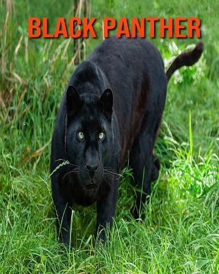 Book cover for Black Panther