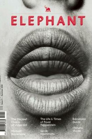 Cover of Elephant Magazine No. 11