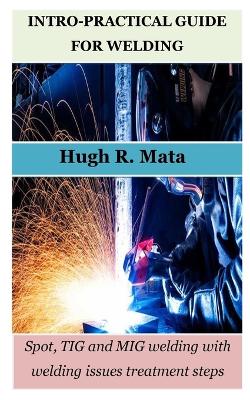 Cover of Intro-Practical Guide for Welding