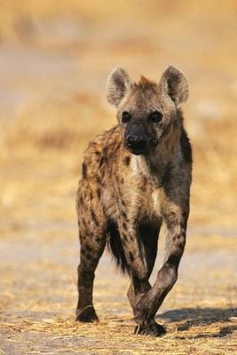 Book cover for Spotted Hyena African Animal Journal