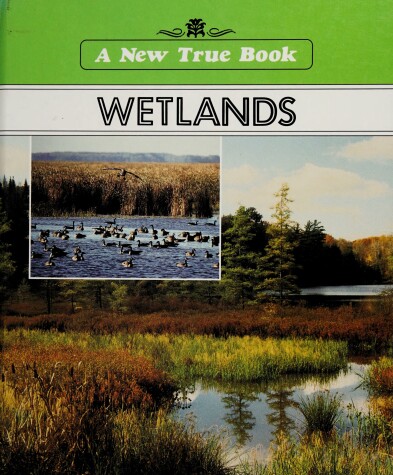 Book cover for Wetlands