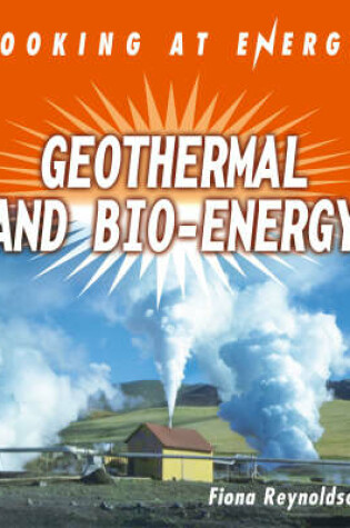 Cover of Geothermals and Bio-energy