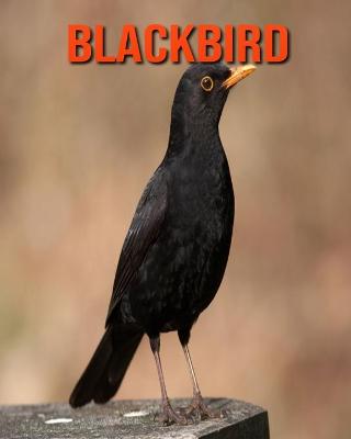 Book cover for Blackbird