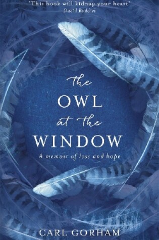 Cover of The Owl at the Window