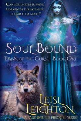 Book cover for Soul Bound