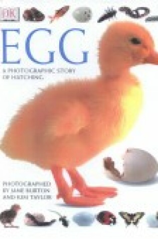 Cover of Egg