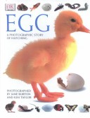 Book cover for Egg