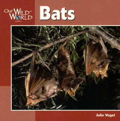 Book cover for Bats