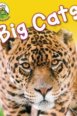 Cover of Leapfrog Learners: Big Cats