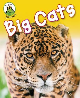 Cover of Leapfrog Learners: Big Cats