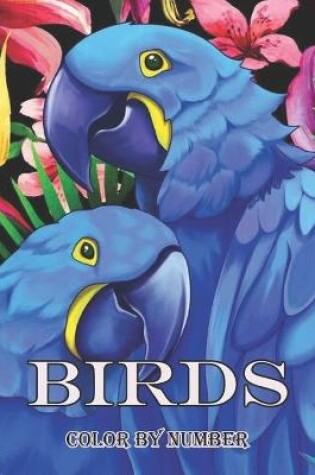 Cover of birds color by number book