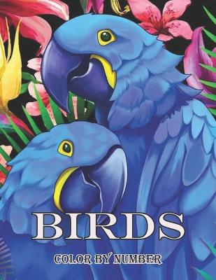 Book cover for birds color by number book
