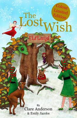 Book cover for The Lost Wish