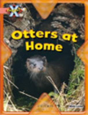 Book cover for Project X: My Home: Otters at Home