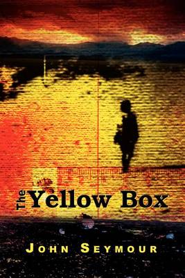 Book cover for The Yellow Box