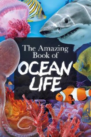 Cover of The Amazing Book of Ocean Life