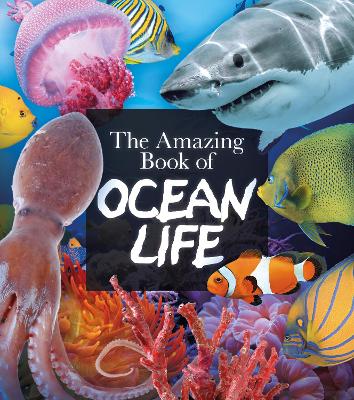 Book cover for The Amazing Book of Ocean Life