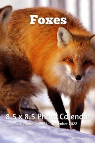 Cover of Foxes 8.5 X 8.5 Calendar September 2021 -December 2022