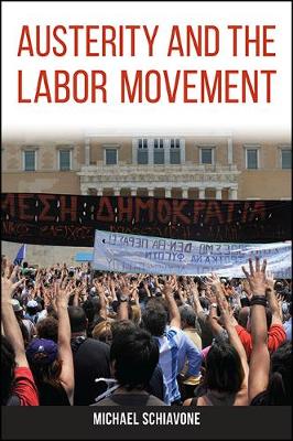 Book cover for Austerity and the Labor Movement