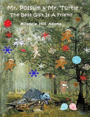 Book cover for Mr. Possum & Mr. Turtle - The Best Gift Is A Friend