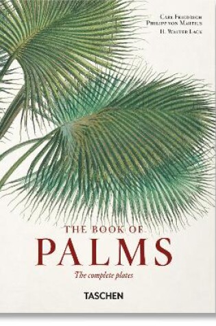 Cover of Martius. The Book of Palms. 40th Ed.
