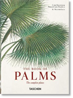 Book cover for Martius. The Book of Palms. 40th Ed.