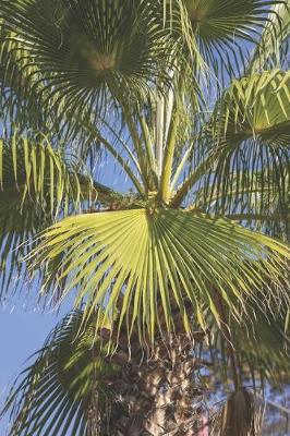 Book cover for Palm Tree Close-Up Journal