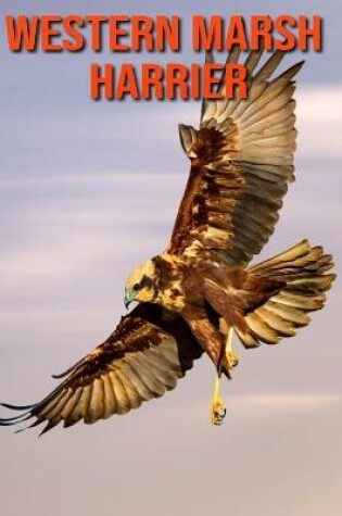 Cover of Western Marsh Harrier