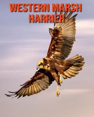 Book cover for Western Marsh Harrier