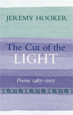 Book cover for The Cut of the Light