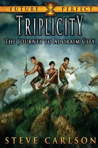 Cover of Triplicity